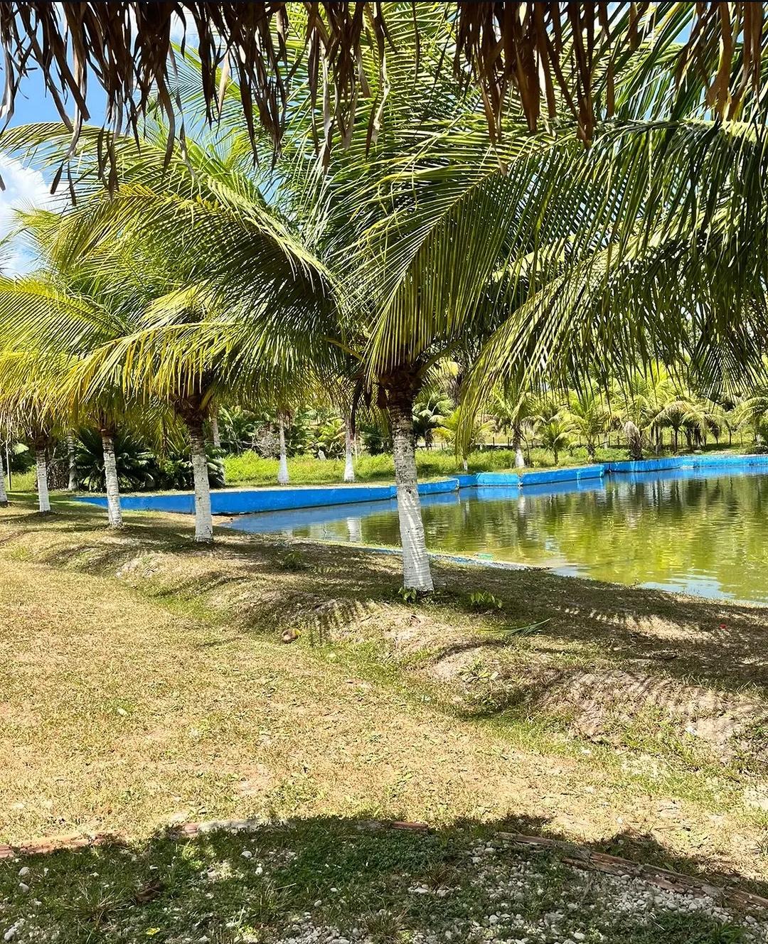 Balne&aacute;rio Martins – foto 4 de 4
